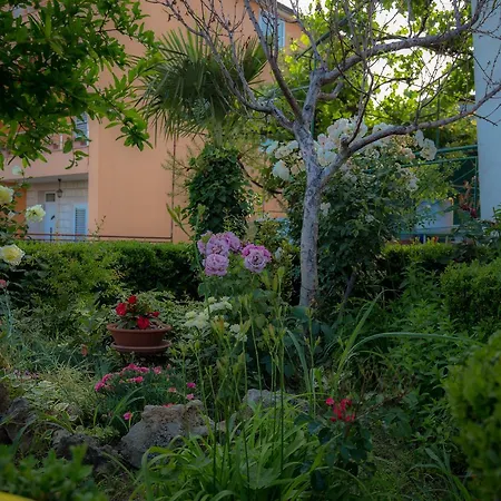 Apartament Family